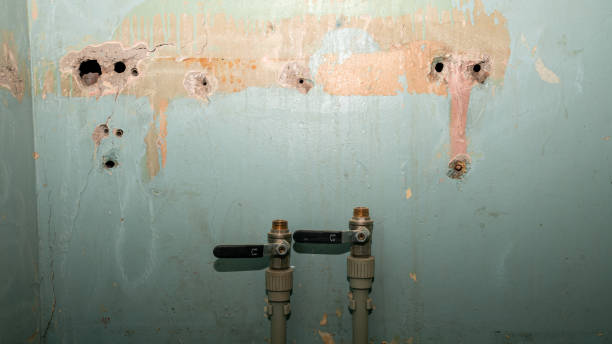 Professional Water damage restoration in Horn Lake, MS