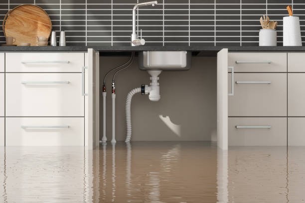 Best Water damage restoration experts  in Horn Lake, MS